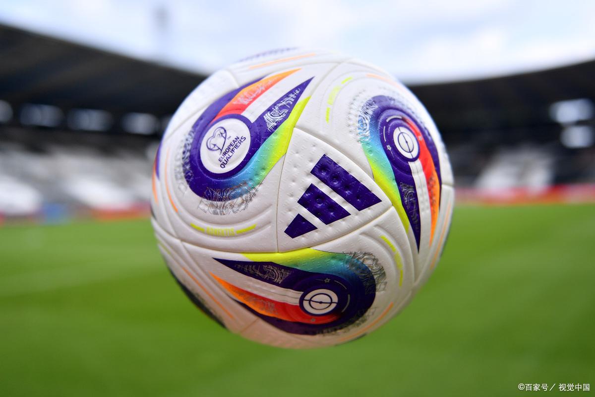 确保了动物 确保了动物