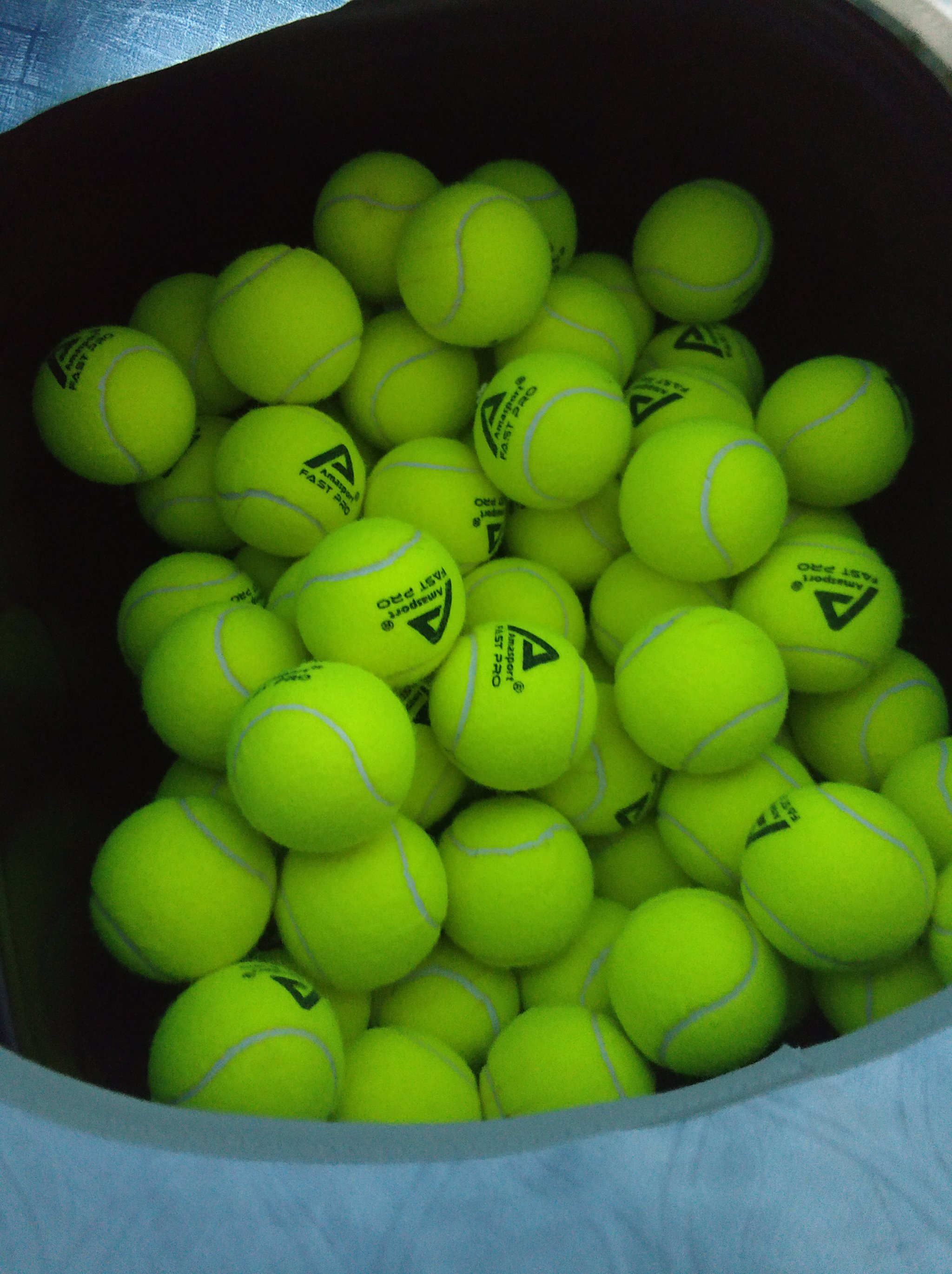 球迷与业内 球迷与业内