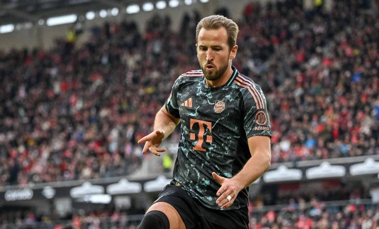 的耐心和专 的耐心和专