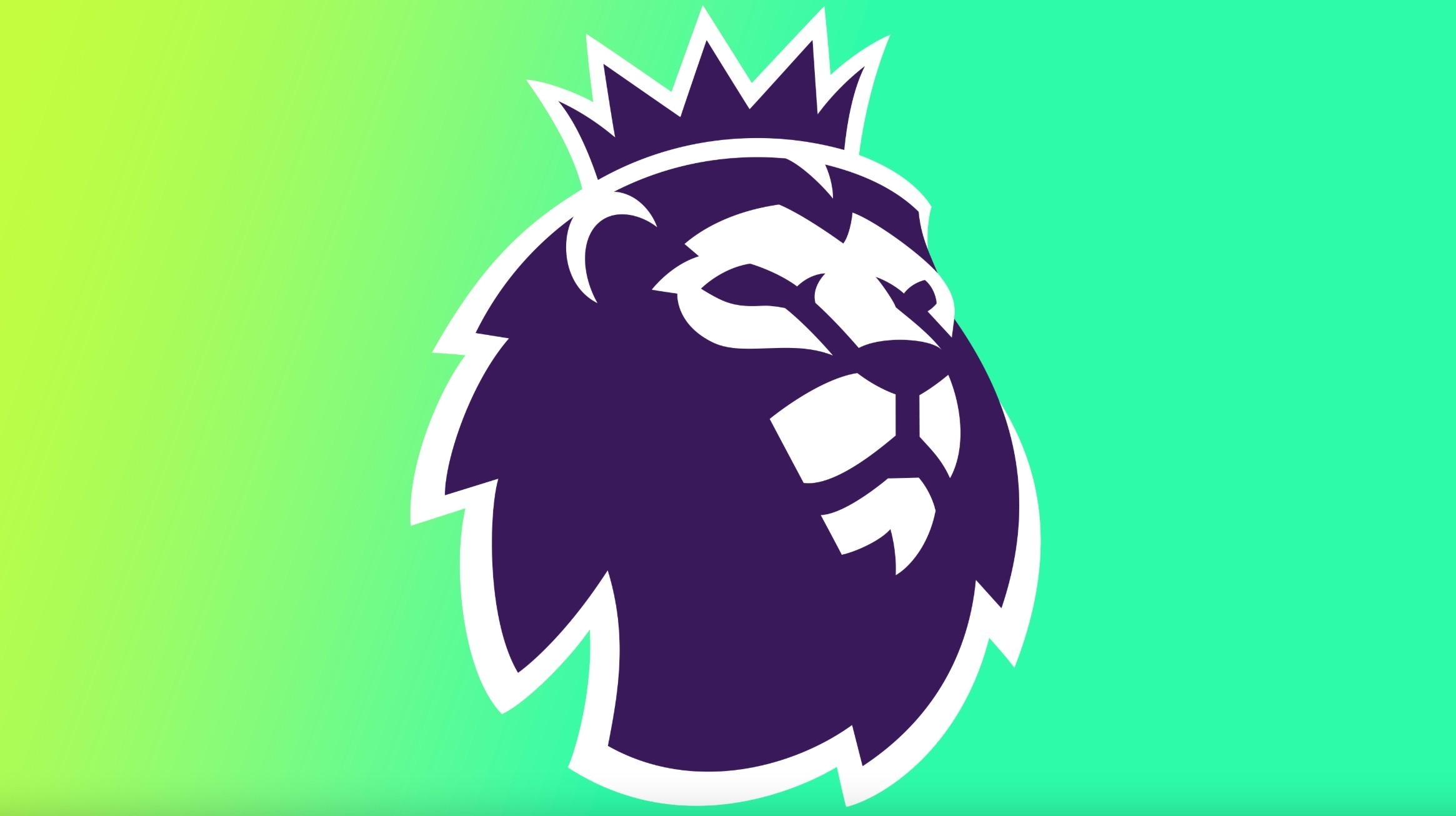 据上的亮点 据上的亮点